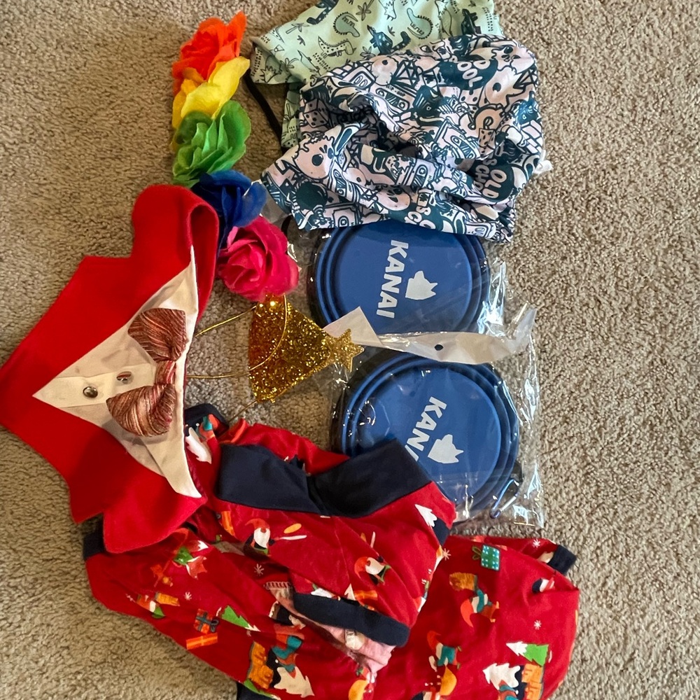 Colorful Pet Clothing and‎ Accessories lot